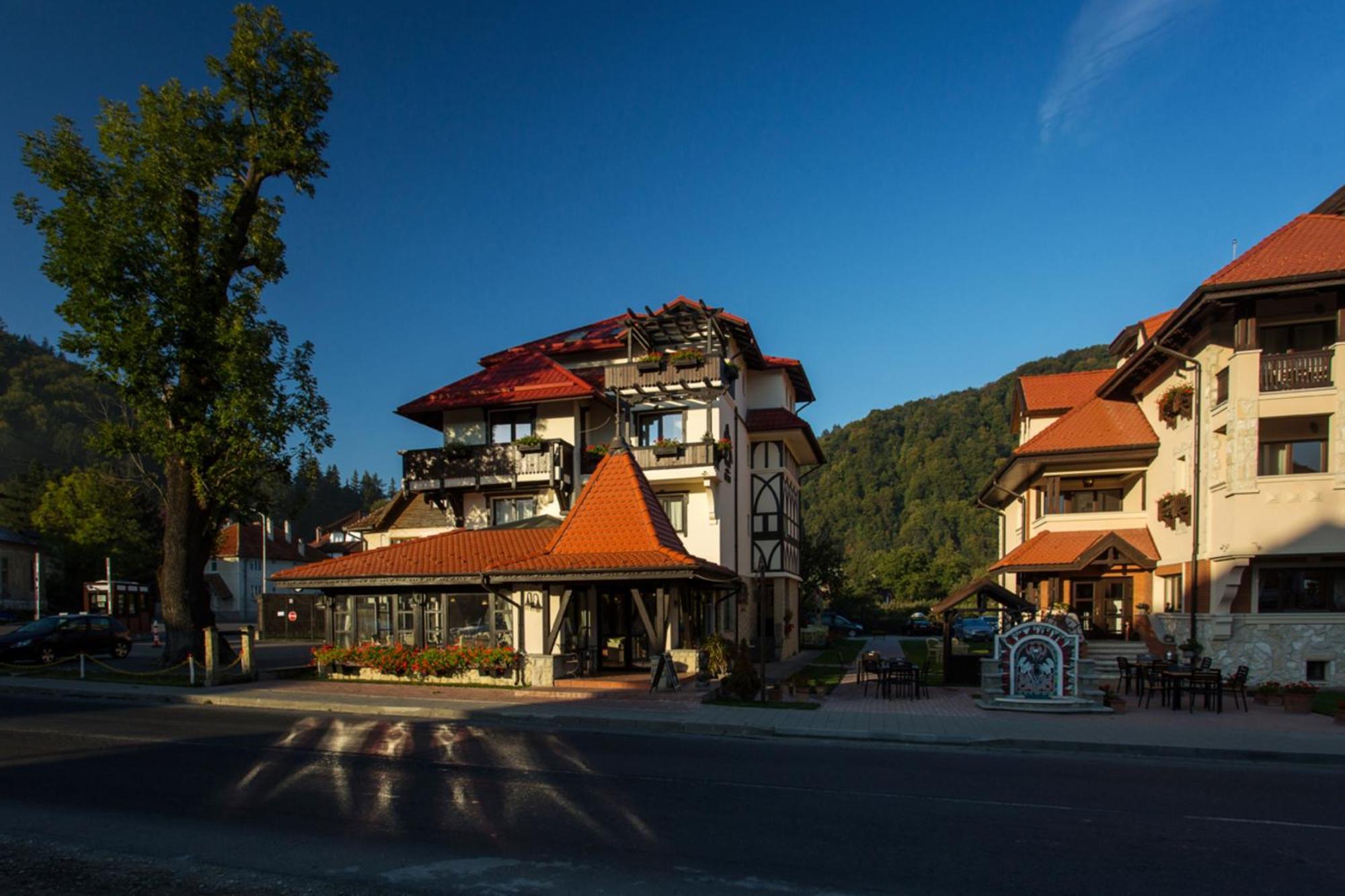 Casa Din Bran - Inn Center Экстерьер фото